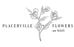 Flowers on Main Street